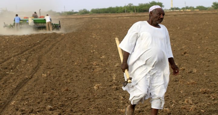 مزارع سوداني